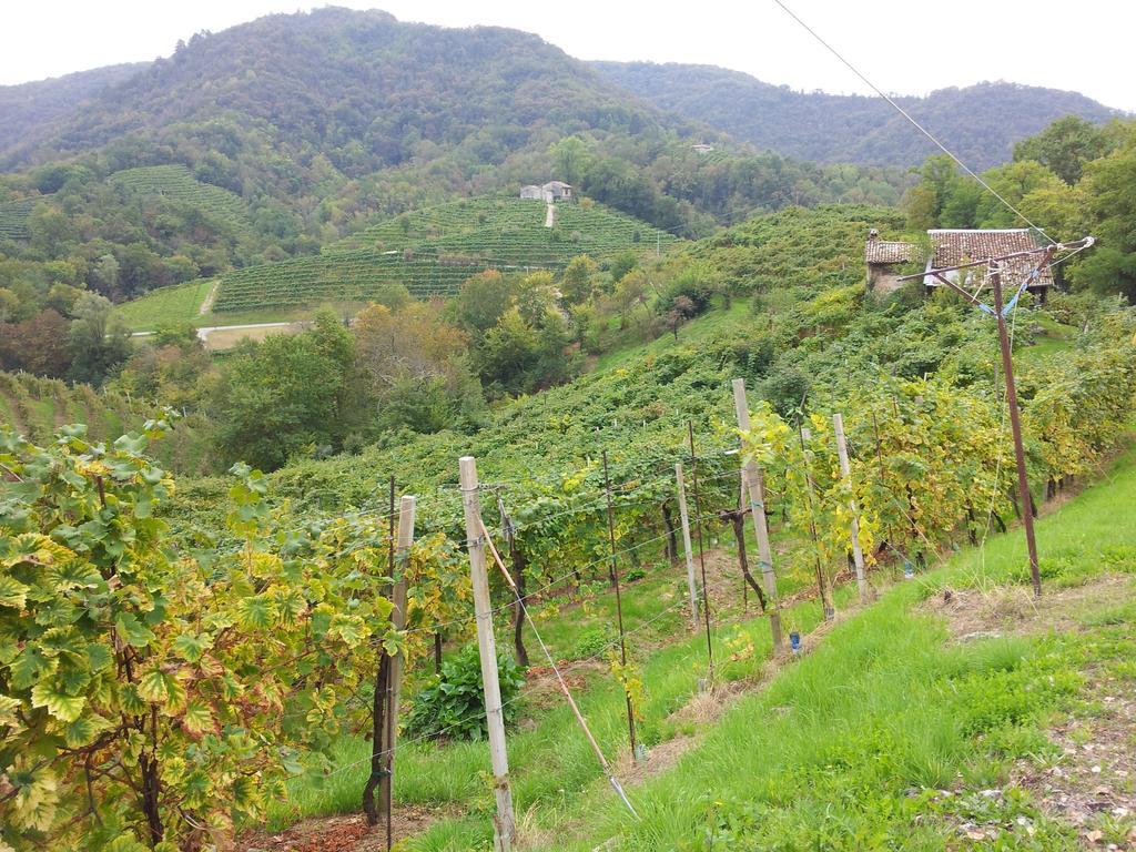 A Casa Di Albino E Giovannina Hébergement de vacances *