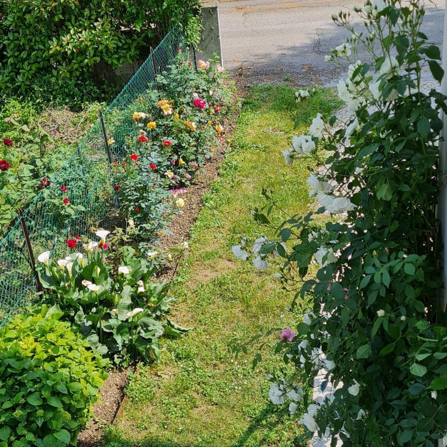 Holiday home A Casa Di Albino E Giovannina
